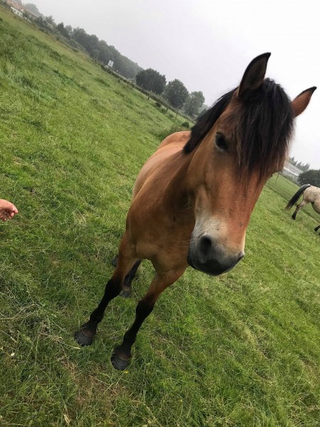 Photo de profil de emma_antho