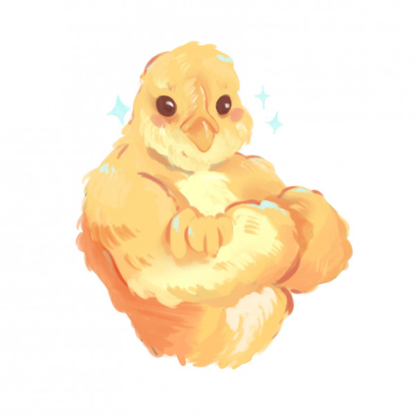 Photo de profil de azad91