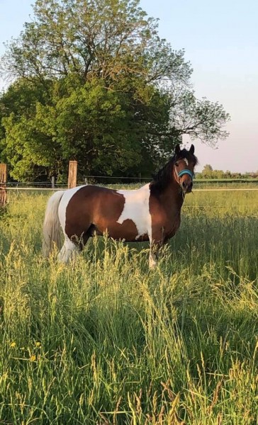 Photo de profil de margaux2513