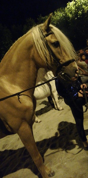 Photo de profil de imane0619