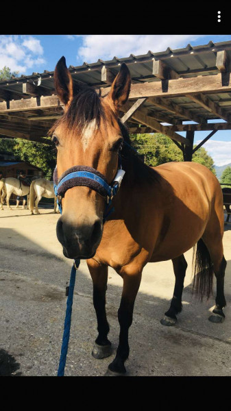 Photo de profil de djelyka973