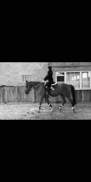 Photo de profil de shania.t