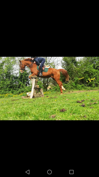 Photo de profil de trotteurdu19