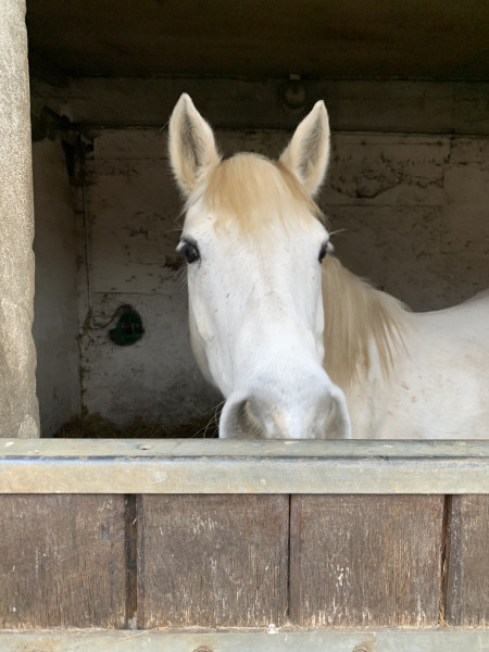 Photo de profil de denerisse
