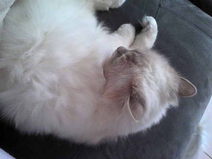 Photo de profil de fiona41