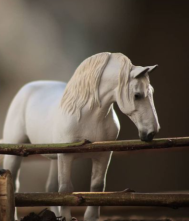 Photo de profil de princessecheval