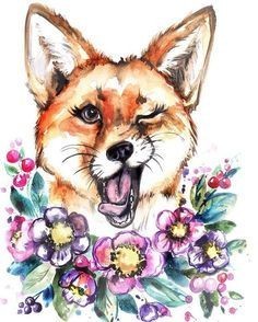 Photo de profil de kalypsokaly