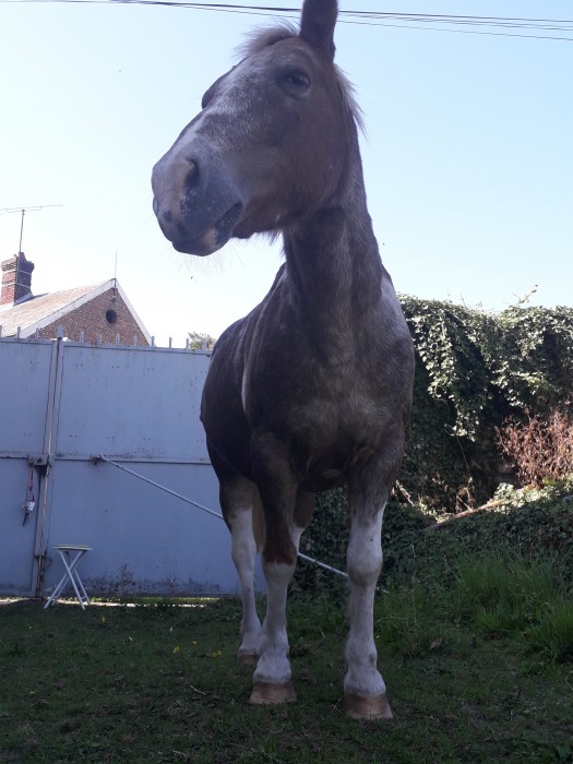 Photo de profil de eglantine2008