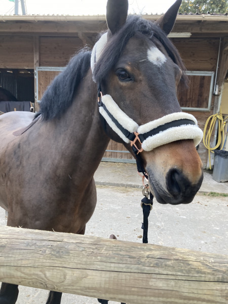 Photo de profil de lenabtn