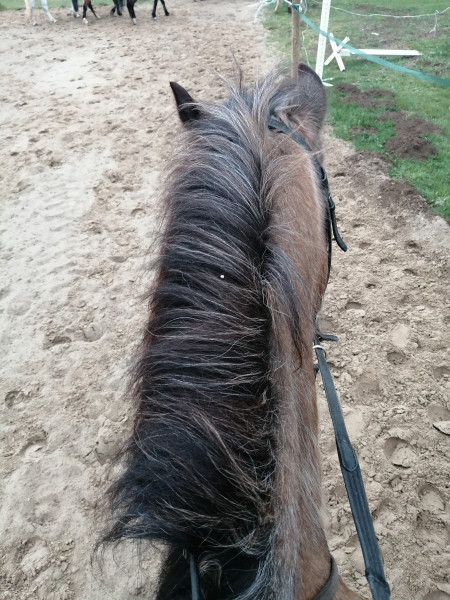 Photo de profil de mirybel_vivi