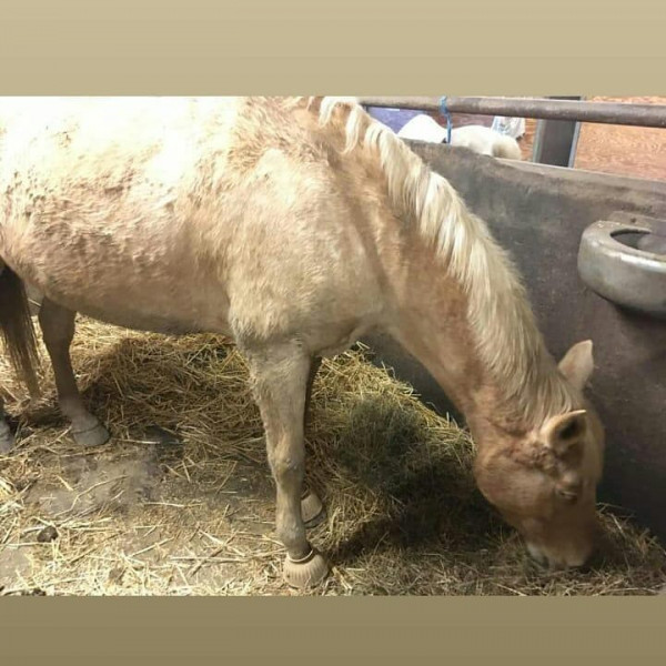 Photo de profil de albane.rachet