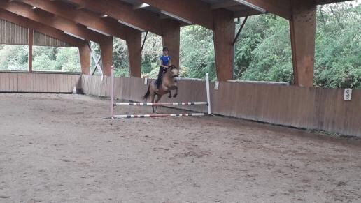 Photo de profil de volia_pavie