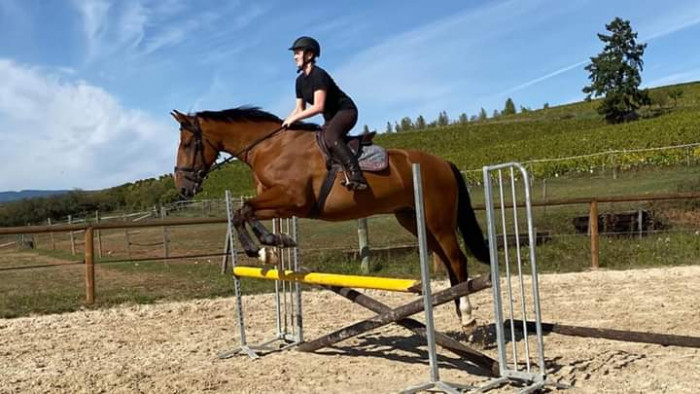 Photo de profil de eno.lv