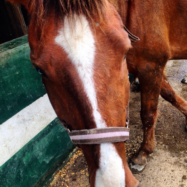 Photo de profil de juliettez