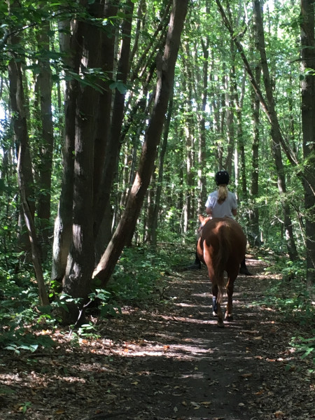 Photo de profil de camsunny