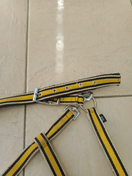 Photo de profil de ndj14