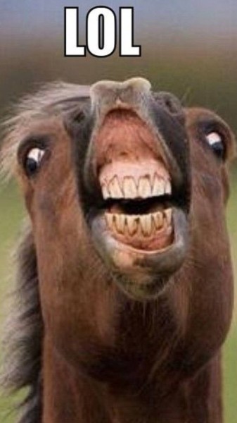 Photo de profil de celwins