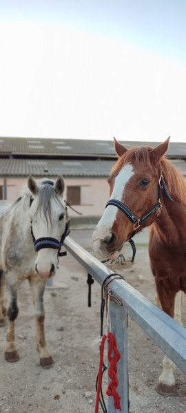 Photo de profil de sunflowerbaraca