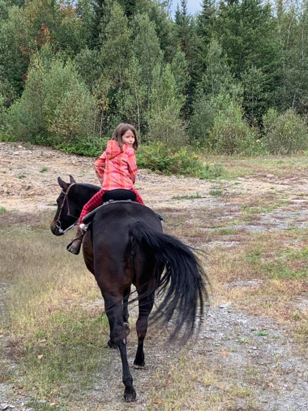 Photo de profil de flochocheval