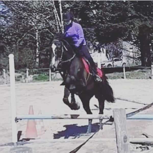 Photo de profil de oxer12