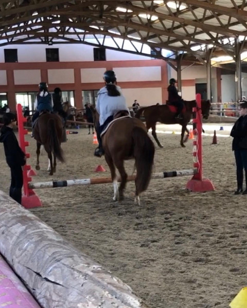 Photo de profil de camiliaahorse12