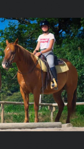 Photo de profil de servane.morice