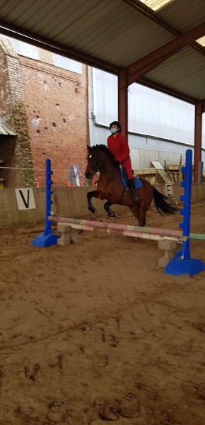 Photo de profil de tiphaniedrrs