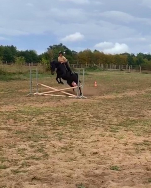 Photo de profil de maevv