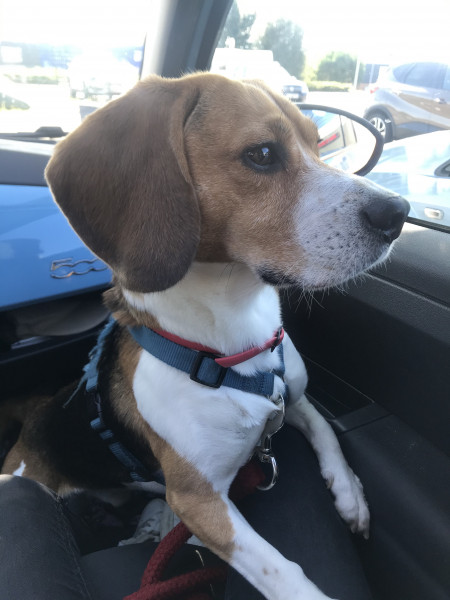 Photo de profil de morgane201