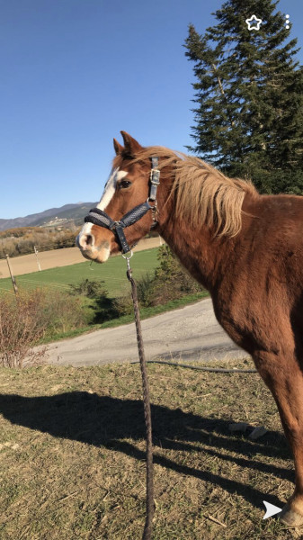 Photo de profil de mailys01