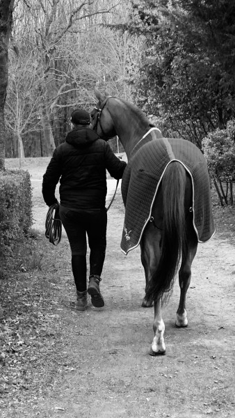 Photo de profil de quentin91280