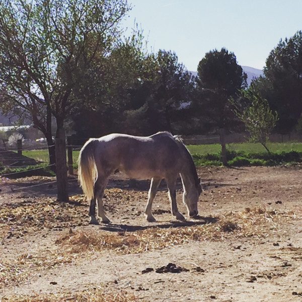 Photo de profil de linah.13dz