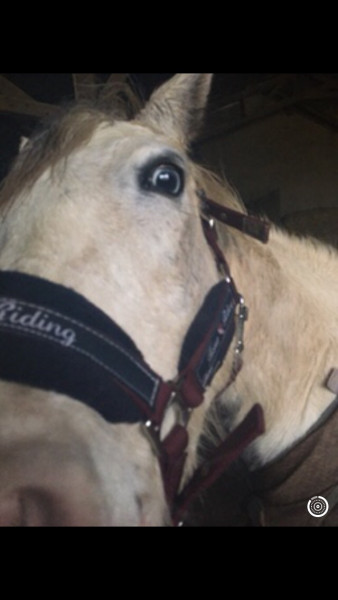 Photo de profil de mariusher