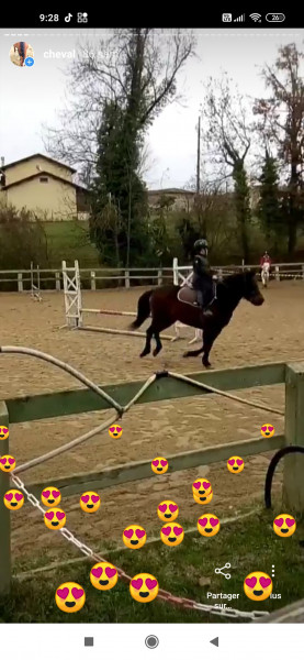 Photo de profil de alancelot