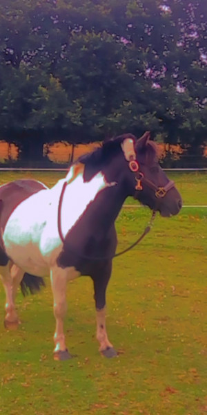 Photo de profil de joanna_lrt