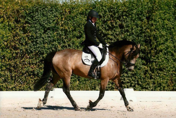 Photo de profil de elisefangier