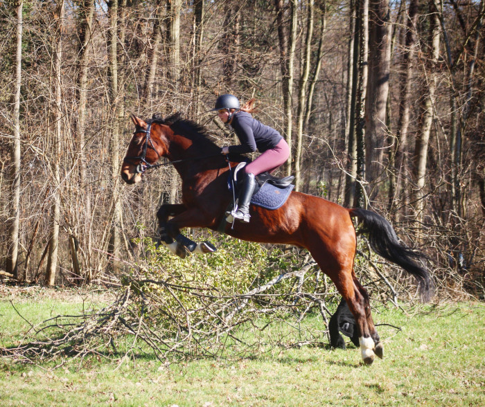 Photo de profil de solenn02