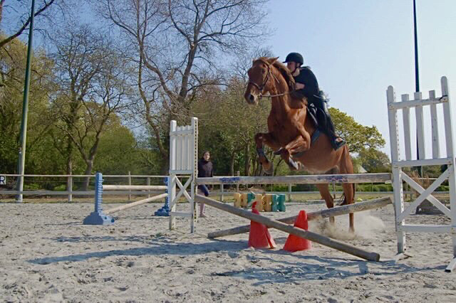 Photo de profil de bambou_lg