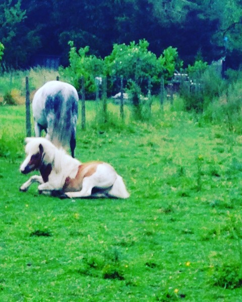 Photo de profil de bibby.ondine