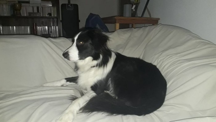 Photo de profil de carlakaidi68