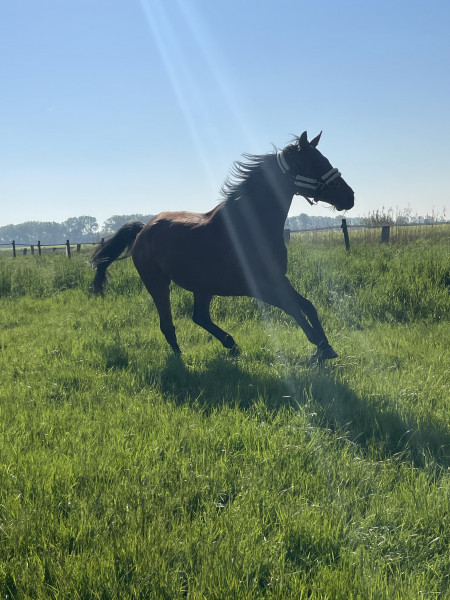Photo de profil de emdz59