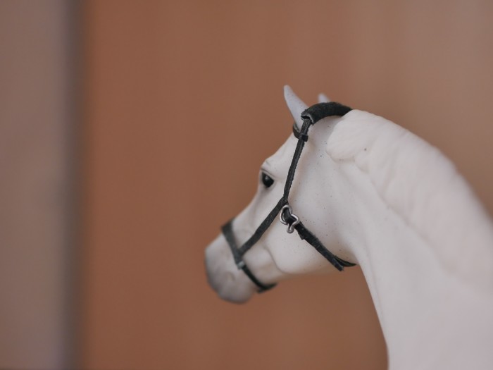 Photo de profil de cavalip