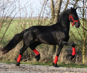 Photo de profil de delphine.1.4