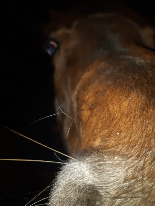 Photo de profil de pauco08