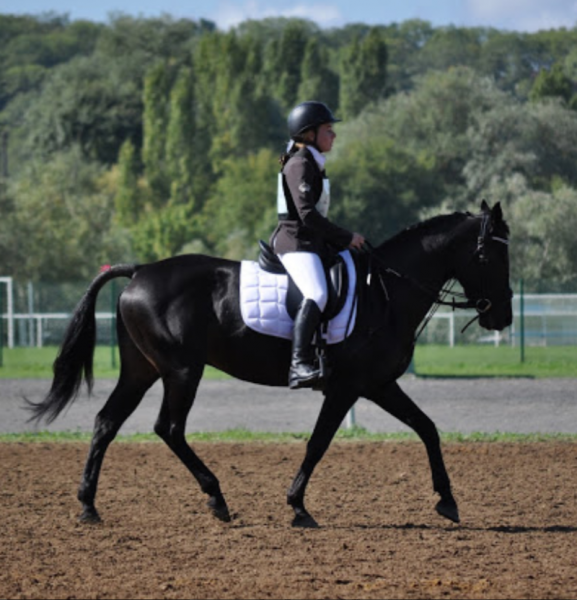 Photo de profil de summeretroyal