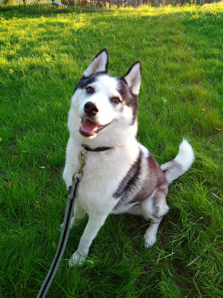 Photo de profil de nae.vnnen