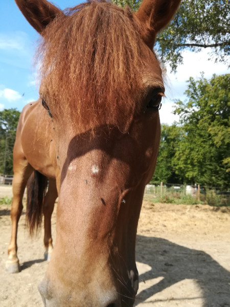 Photo de profil de swane.vidjy