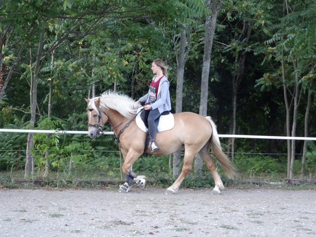 Photo de profil de manon6