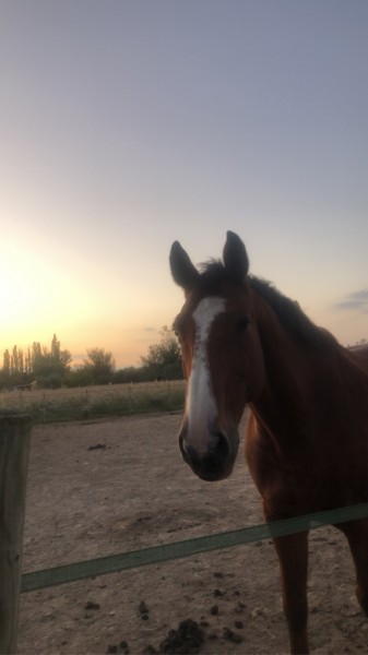 Photo de profil de rackailou