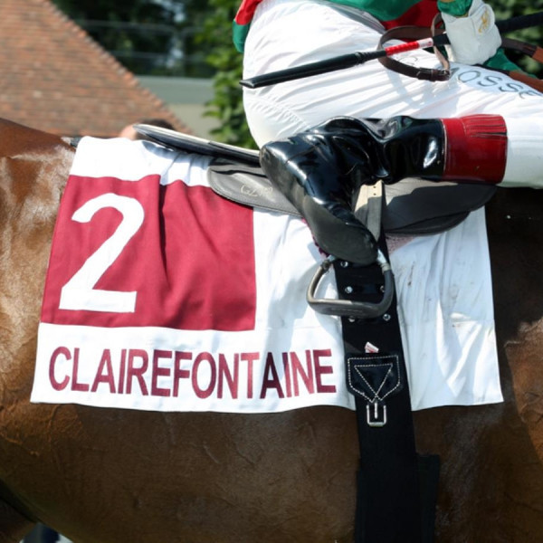 Photo de profil de lajockeydu_35